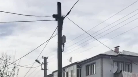 Kedinin Direkte Mahsur Kalması