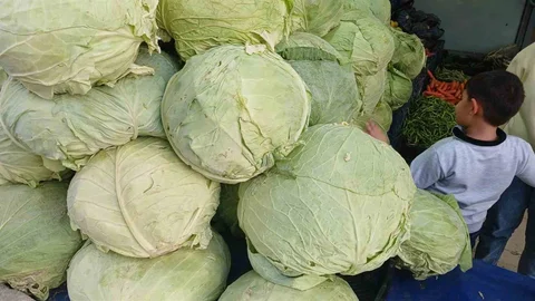 Muş Lahanaları Diyarbakır'da Satışta