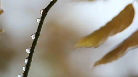 Bursa'da Ekim Ayına Yağış Müjdesi