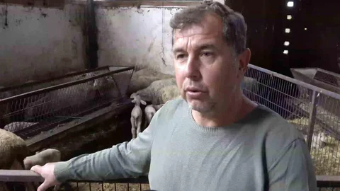 Bursa'da Kuzuya Şap Hastalığı Etkisi