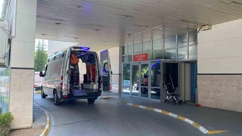 Bolu'da Deli Dana Hastalığı Tespit Edildi