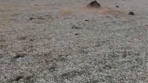 Elazığ'da Yıldırım Düşmesi Görüntülendi