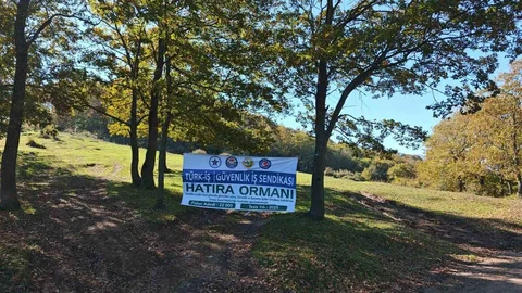 Sakarya'da 22 Bin Fidan Dikildi