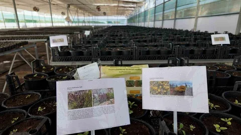 Kurakçıl Peyzaj Projesi Desteği