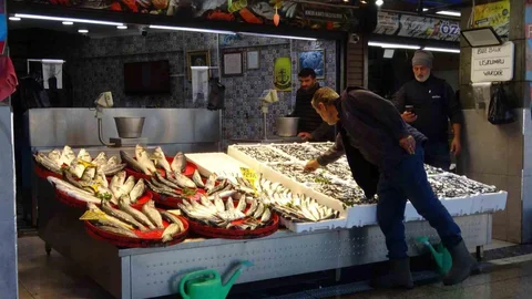 Palamut Sezonu Umutsuzluğa Dönüştü