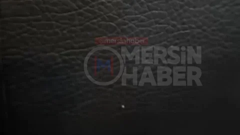 Mersin'de Feribotta Böcek Görüntüleri Tepki Çekti