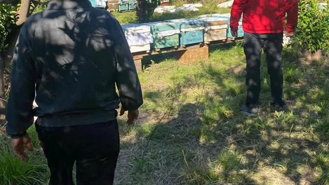 Ortaca’da Arılı Kovan Desteklemeleri