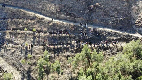 Bayburt'ta Fidan Dikimi Etkinliği