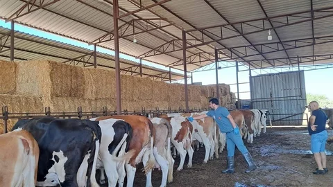 Nazilli'de 13 Mahalle Karantinaya Alındı