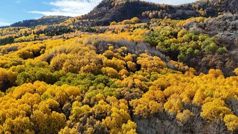 Karagöl Tabiat Parkı: Ankaralıların Gizli Cenneti