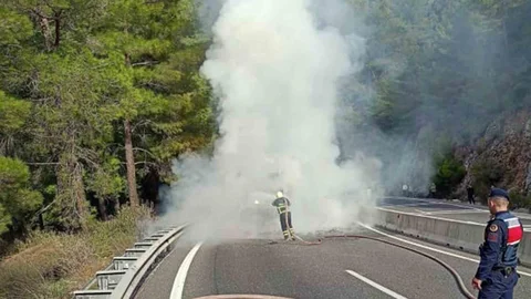 Muğla'da Kamyon Yangını