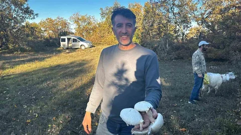 Bilecik Ormanlarında Mantar Patlaması Yaşandı