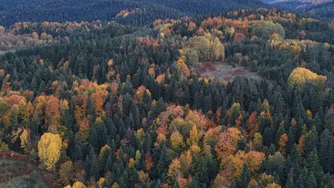 Sinop'ta Sonbahar Renkleri