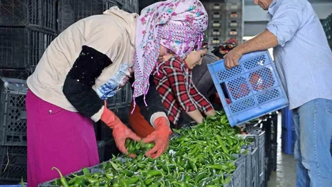 Antalya Ekim Ayı Hal Endeksi Açıklandı