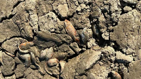 Siirt'te Su Takviyesi Yapıldı