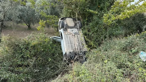 Bursa İznik'te Zeytinliğe Uçan Araç