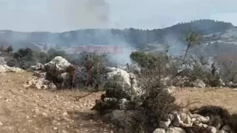 Ağaçlık Alanda Yangın Paniği