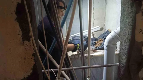Yavru Kedi Apartman Boşluğunda Mahsur Kaldı