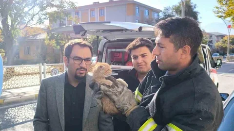 Erzincan'da Sıkışan Yavru Kedi Kurtarıldı