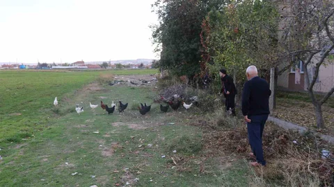 Eskişehir'de Çobanlık Yapan Mahalleli