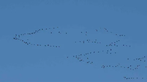 Zorlu Göçün Yeni Durağı: Erçek Gölü