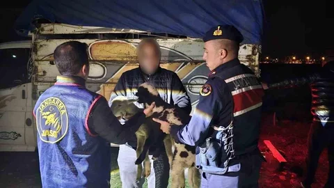 Küçükbaş Hayvan Hırsızları Yakalandı