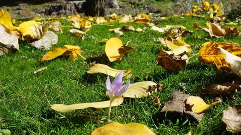 Aydın Dağları Sonbaharı Karşılıyor