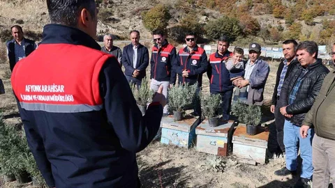 Afyonkarahisar'da Lavanta Fidesi Dağıtımı