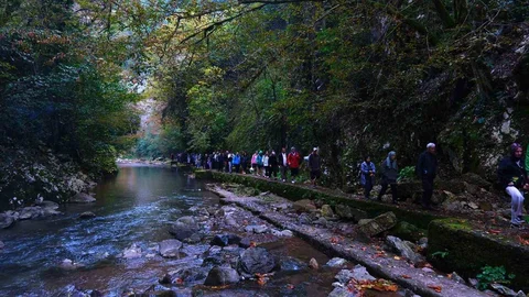 Sakarya'da Sonbahar Doğa Yürüyüşleri