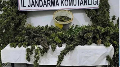 Mardin'de Uyuşturucu Operasyonu