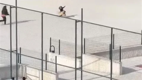 Çorum'da Okul Bahçesine Giren Köpek Panik Yarattı