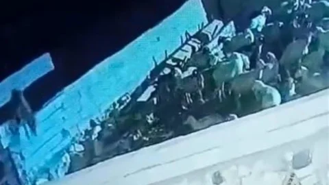 Kurt Ağılda Koyunu Telef Etti