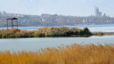 Van Gölü Havzası'nın Ekosistem Önemi
