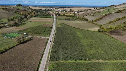 Samsun'da 700 Üreticiye Destek