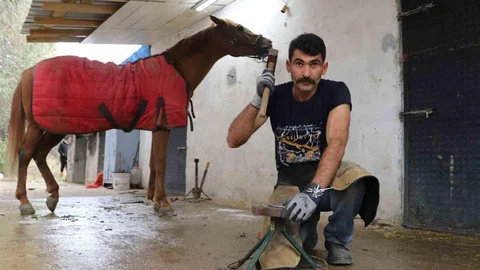 Sivas'ta Nalbantlık Geleneği Tehlikede