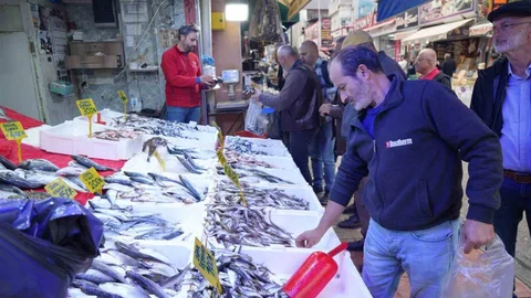 Samsun'da Hamsi Fiyatları Düşüyor