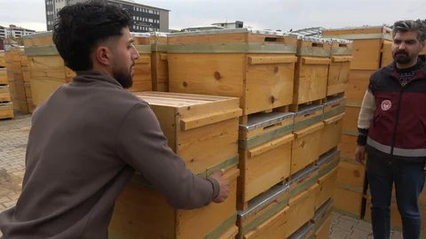 Bingöl'de Organik Kovan Dağıtımı