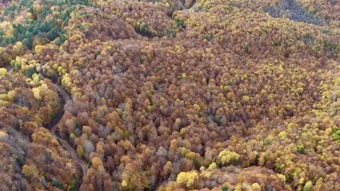 Bolu'da Sonbahar Güzellikleri