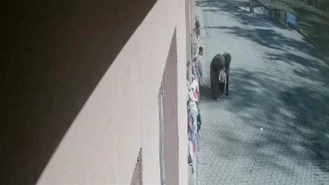 Ağrı'da Öğrenci Hayata Tutundu