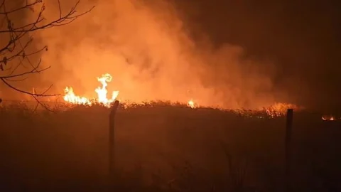 Sülüklü Göl'de Yangın Korkuttu
