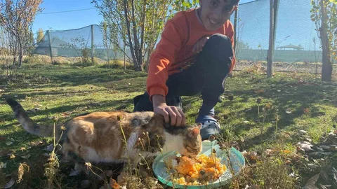 Sokak Hayvanlarına Destek Oluyor