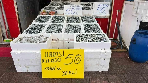 Rize'de Hamsi Fiyatları Düşüyor