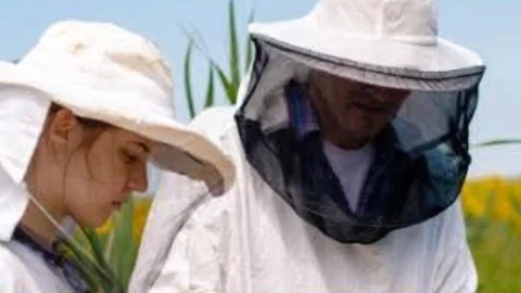 Mersin'de Arıcılık Destekleme Başvuruları 14 Kasım'a Kadar Uzatıldı