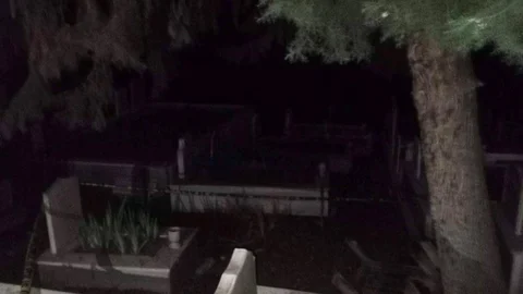 Yalova'da İş Adamı Ölü Bulundu