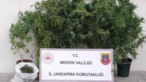 Mersin'de Jandarmadan Uyuşturucu Madde Operasyonu