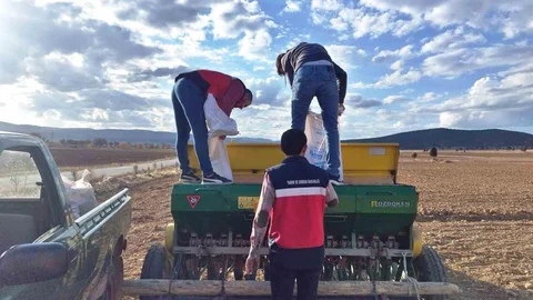 Çavdarhisar'da Tohum Ekimi Yapıldı