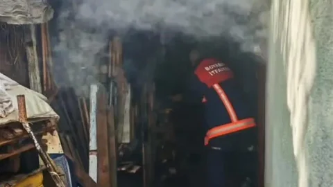 Sinop'ta Odunluk Yangını Kontrol Altına Alındı