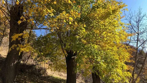 Arapgir'de Sonbahar Güzellikleri