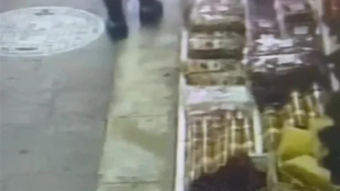 Zonguldak'ta Ceviz Hırsızlığı Olayı