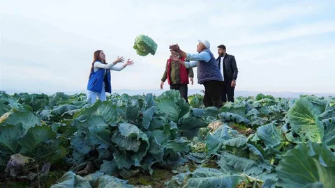 Muş Ovası’nda Gönüllü Gençler Hasat Desteği Verdi